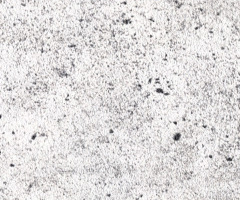 “水墨书香”——上海中国画作品邀请展隆重开幕