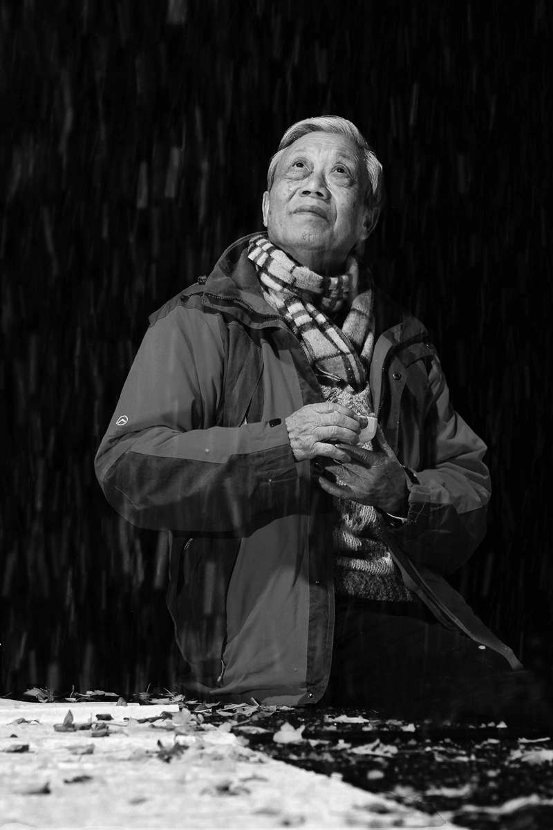 写意荷花展六人展陈家泠专辑【中国美术家书法家艺术网】讯